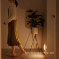 Plug in Lamp NightLight Wall Lamp